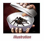Illustration
